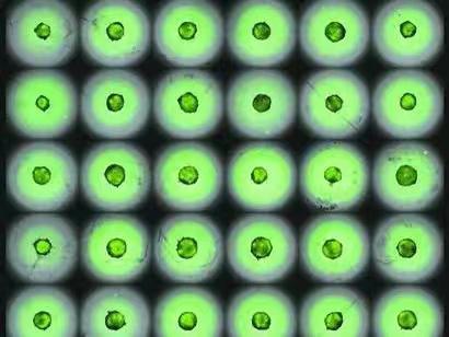 2021年中國&sol;世界十大科技進展新聞揭曉