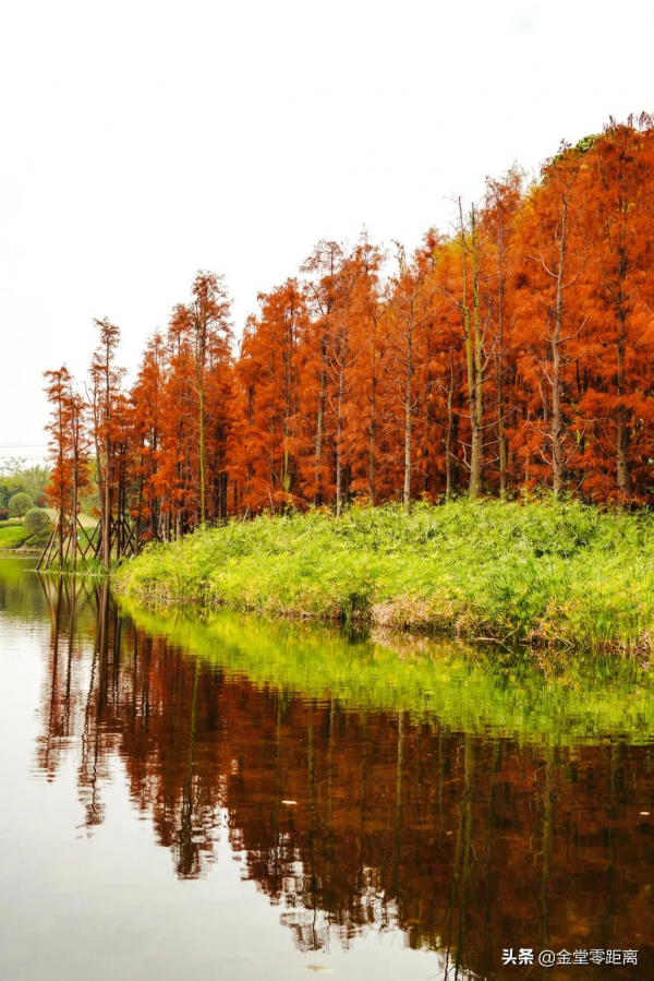 金堂“光霧山”!私藏在這處公園裡的冬日幻境 金堂“光霧山”!私藏在這處公園裡的冬日幻境