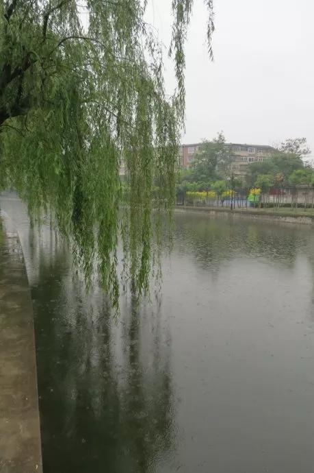 下雨了,就一定好釣魚嗎?不要在風雨中堅持戰鬥了 下雨了,就一定好釣魚嗎?不要在風雨中堅持戰鬥了