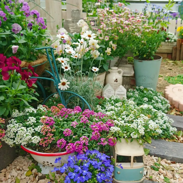 打造一座雜貨小花園,記錄一份隨性生活 打造一座雜貨小花園,記錄一份隨性生活