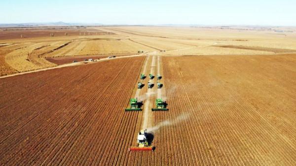 又到一年秋收時，農民朋友捂住口袋，別讓騙子騙去辛苦錢