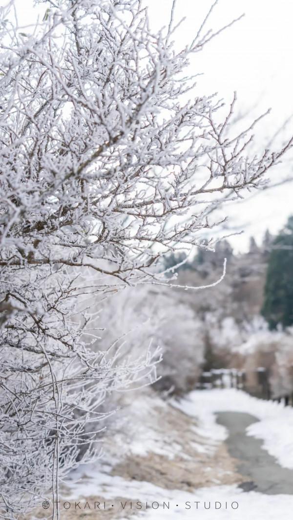 逛逛日本 &vert; 冬遊紀行 樂在九州