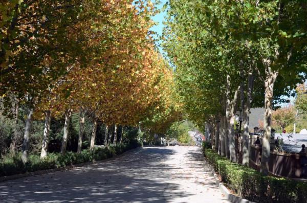 藏在森林酒店中的風景區——靜之湖