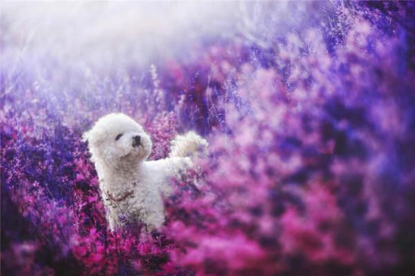 難成大事，遇事就只會慌張急躁的3個星座，心態很容易“炸裂”