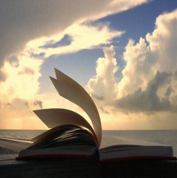 《如何有效提問》：你和會聊天的距離，只差一個有效提問