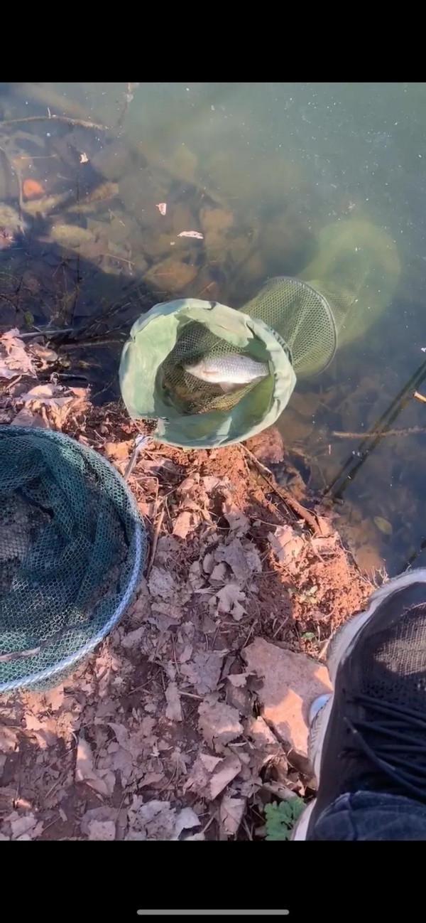 冬日水庫小釣 冬日水庫小釣