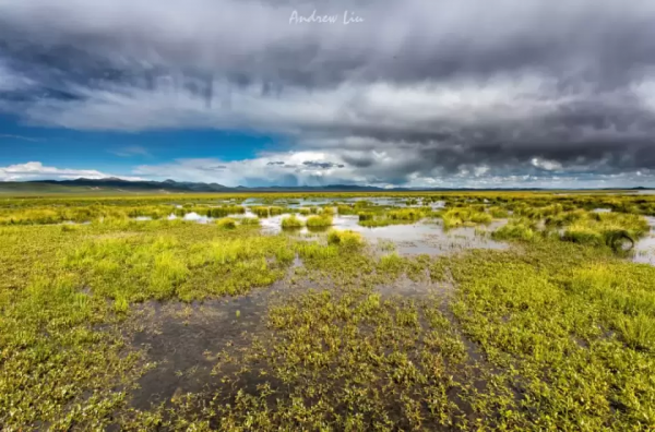 疫情過後，10條西部自駕路線，選一條，來感受祖國真實的美