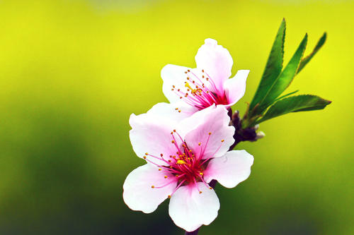 生氣時，最能看清一個人