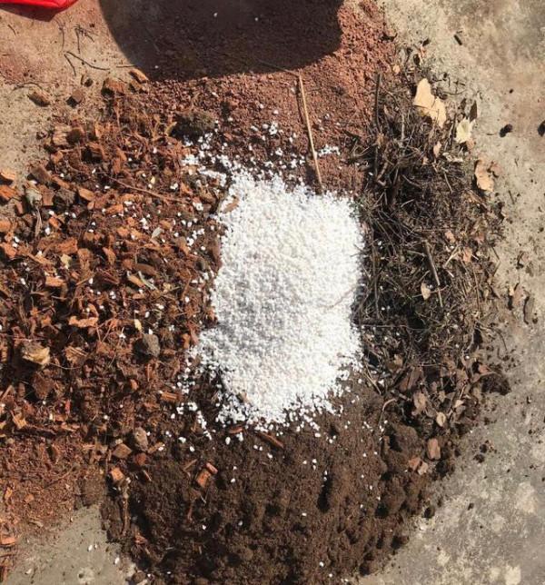 養花不用買肥料，把廚餘垃圾“囤起來”發酵，就是養花的好材料