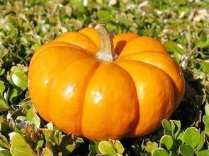 快來看看吧!這些有趣的中秋習俗,你知道嗎? 快來看看吧!這些有趣的中秋習俗,你知道嗎?