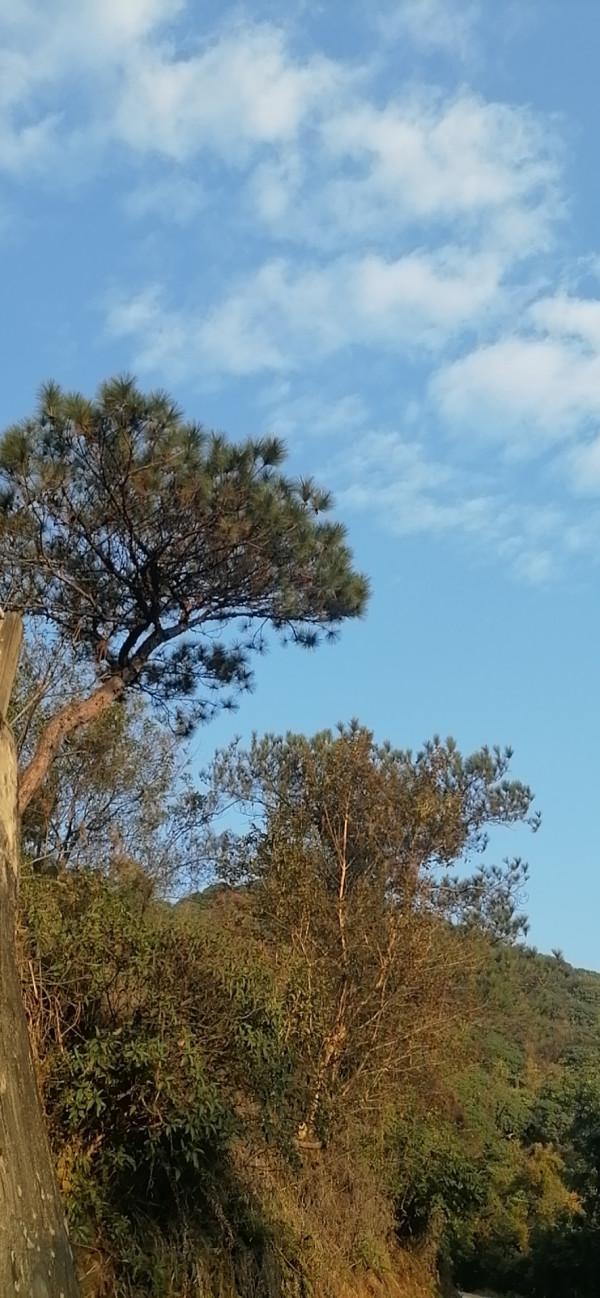 雲彩下的山城系列（九）