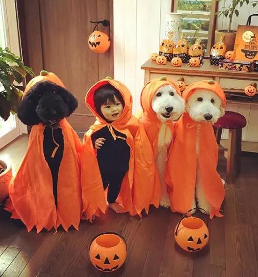 日本奶奶分享小孫女和三隻大狗狗的日常，治癒了56萬+網友…