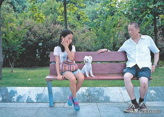 翻看老照片,回望上世紀60年代深圳,感悟深圳滄桑鉅變 翻看老照片,回望上世紀60年代深圳,感悟深圳滄桑鉅變