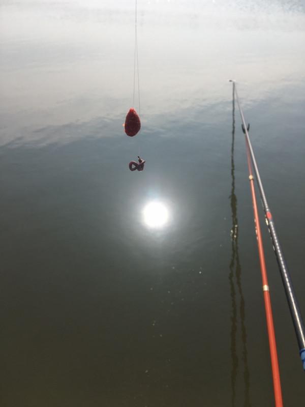 降溫後和降溫當天漁獲差距是真大