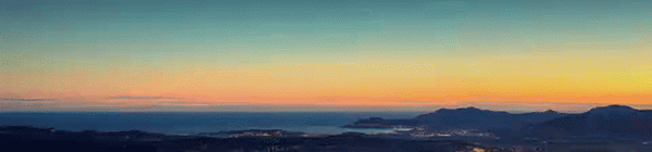 除了警犬，你知道棕熊和貓，也曾是戰場上的一員嗎？