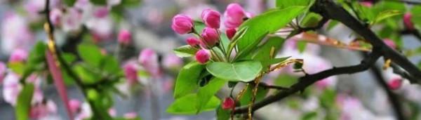 一人一世界(二)她是一個藝考生 一人一世界(二)她是一個藝考生