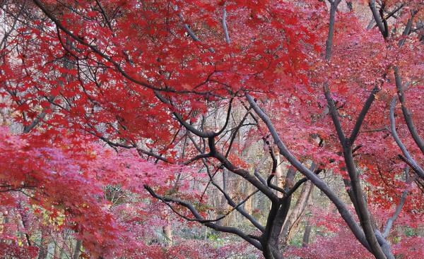 愛自己,是人生中最重要的事(值得一讀) 愛自己,是人生中最重要的事(值得一讀)