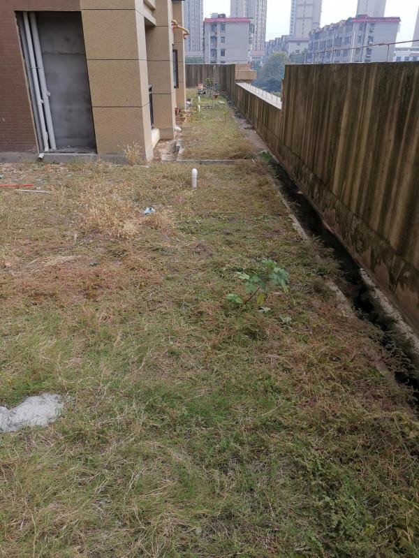 平臺栽點花，鄰居們會有想法嗎？