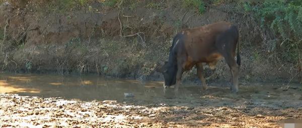 在非洲生活有多難？孩子們喝泥水，在沒屋頂的教室頂著烈日上課