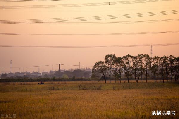 她一輩子沒有再嫁人，獨自拉扯兩個孩子，這個女人不容易