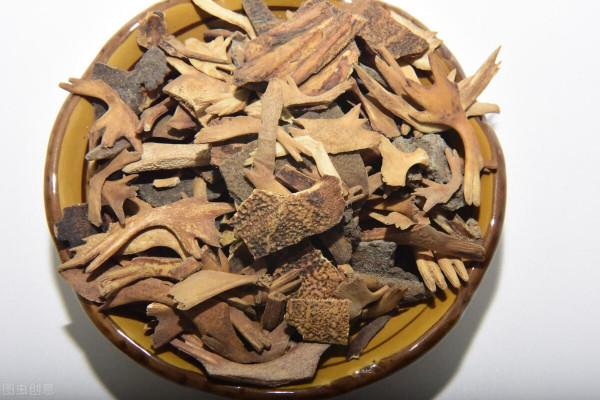 抗衰老的中藥（四十五）