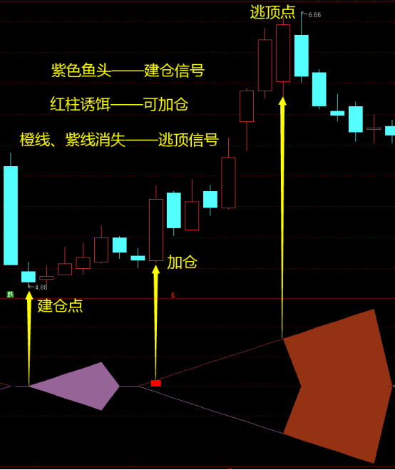 「全新魚身」指標——讓大家看看什麼是魚身，魚身戰法