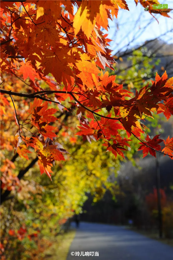 今年最想去的24條線路,與國內最極致的風光邂逅,你都去過幾條? 今年最想去的24條線路,與國內最極致的風光邂逅,你都去過幾條?