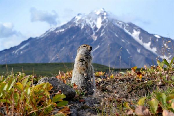 俄羅斯 | 1~12月，全給你安排妥妥滴