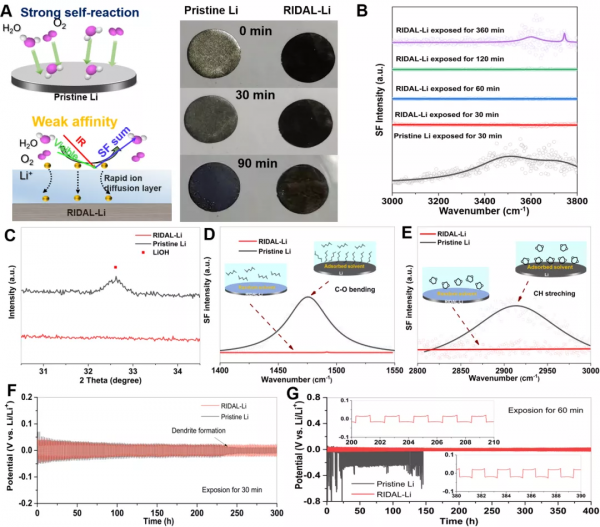 王健博士/藺洪振研究員：沾衣不溼無枝倚，平生散漫亦快哉