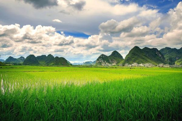 《國家地理》最新評出：10箇中國最美的旅行地，你去過幾個呢？