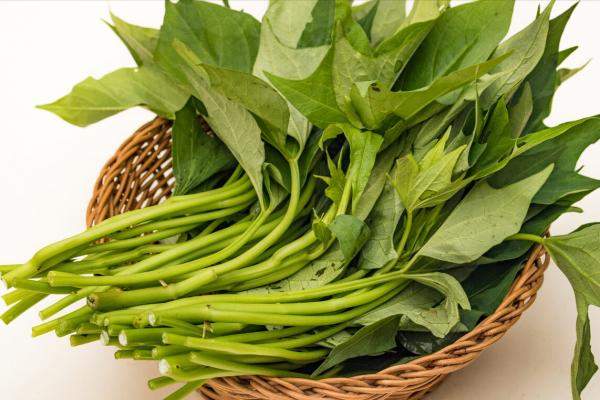 炒紅薯葉,要想脆嫩不發黑,不要直接下鍋炒,記住很關鍵的1步 炒紅薯葉,要想脆嫩不發黑,不要直接下鍋炒,記住很關鍵的1步