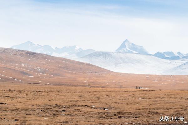 讓人心疼的姐姐