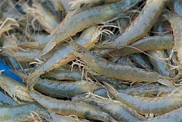 白對蝦，基圍蝦，明蝦樣子差不多，差別卻不小，搞懂再買不吃虧