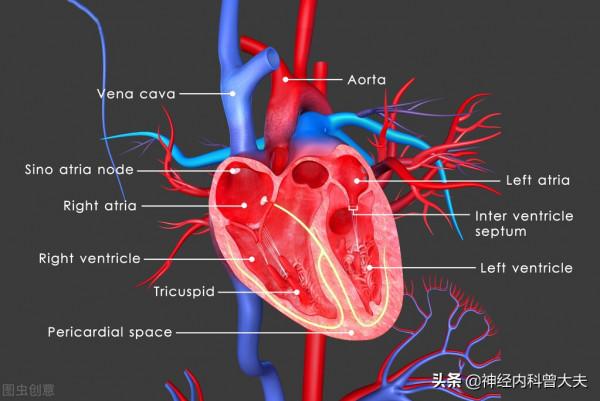血管內有血栓，會出現這三種異常表現，警惕血栓形成導致的疾病