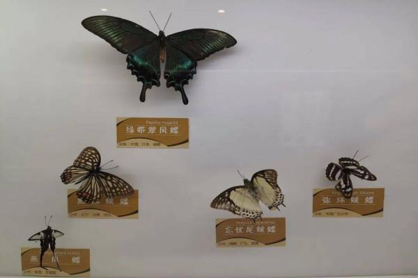 從寒潮低溫來看生物進化 從寒潮低溫來看生物進化
