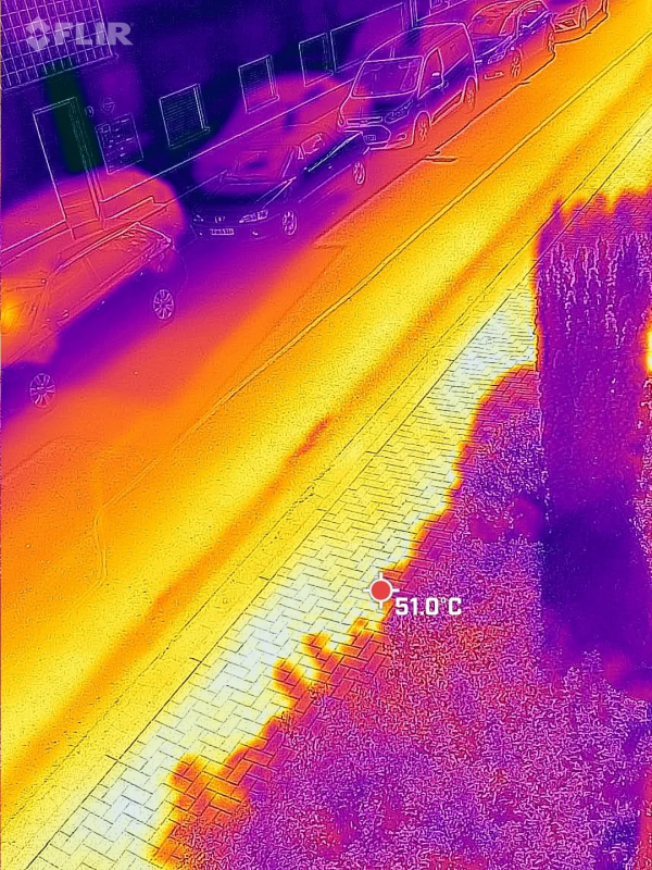 小貓咪的本質竟然是外星人?帶你解密全過程...... 小貓咪的本質竟然是外星人?帶你解密全過程......