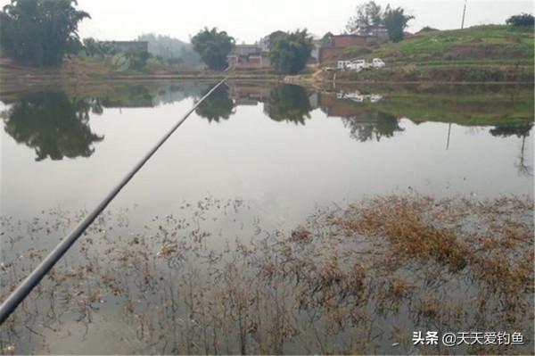 冬季魚難釣？魚情單一，沒變數，注意3個細節，沒有不連竿的道理