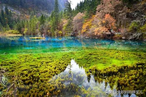 分享——令人迷幻的九寨溝