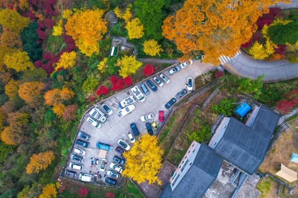 堵車、堵車、堵車，這個古村憑什麼讓遊客步行三公里入村？