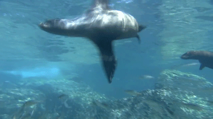 2022年即將新開業的10家奢華酒店，新旅程新遠方