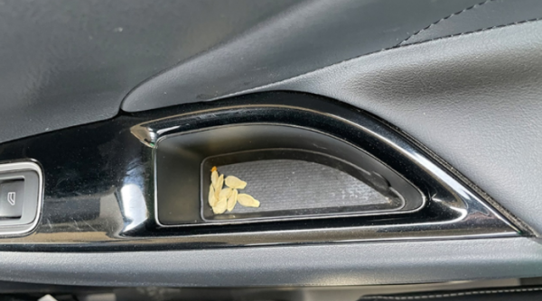 車企“最後一公里”上演最後的絞殺 經銷商主觀服務差距縮短 自主品牌追趕合資品牌 車企“最後一公里”上演最後的絞殺 經銷商主觀服務差距縮短 自主品牌追趕合資品牌