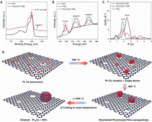 science重磅：降低燃料電池的成本，解決世界難題