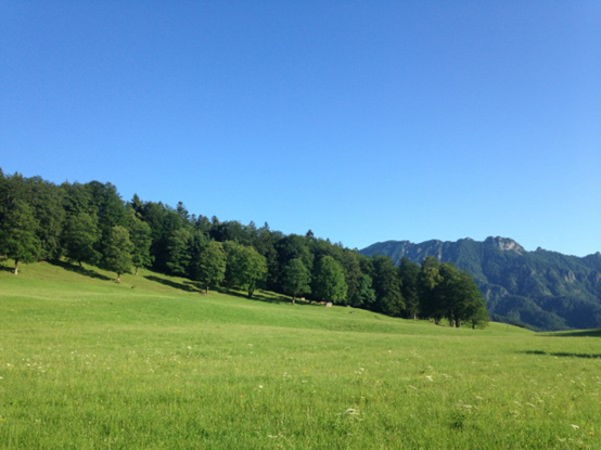 德國小鎮之旅——巴伐利亞農莊 德國小鎮之旅——巴伐利亞農莊