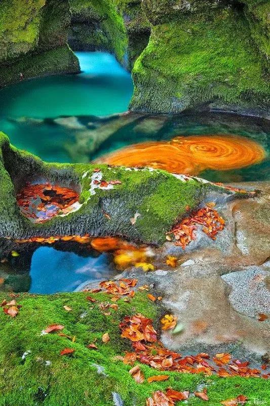 超美的自然風光分享（六十多幅畫）