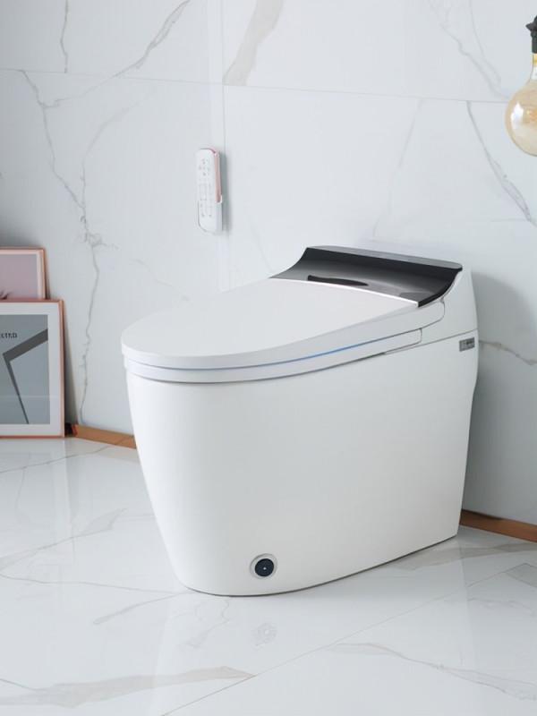 智慧馬桶究竟值不值得入手？我體驗了三個月，談談客觀的感受