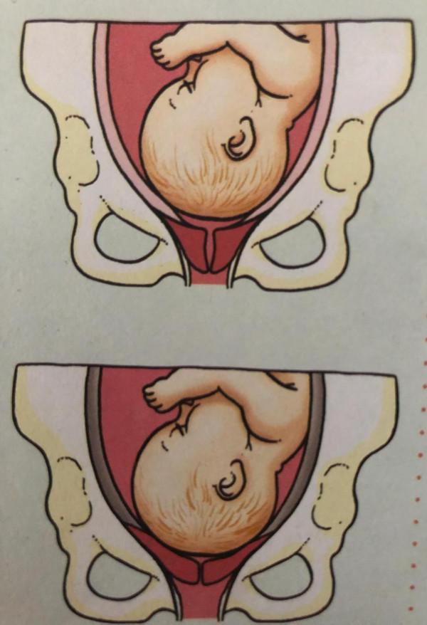 廣東新增育兒假,老公叫我生三胎,我讓他看完這6張圖 廣東新增育兒假,老公叫我生三胎,我讓他看完這6張圖