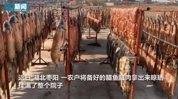 臘味十足，農戶院中曬500只雞、500條魚、5頭豬，網友看到流口水