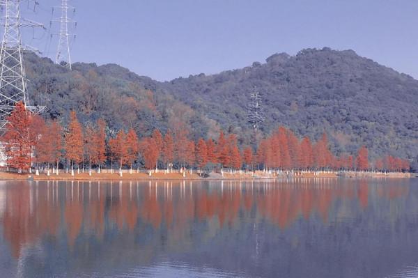 《我在人間的日子：拍個爛片》