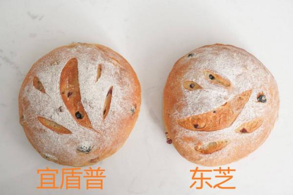 廚面式微蒸烤箱的無死角對比評測：宜盾普星鮮廚VS東芝水波爐