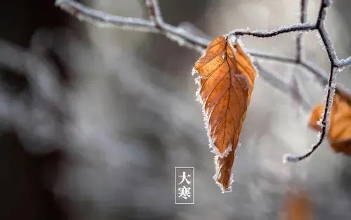 二十四節氣：中國傳統文化，上古農耕文明的產物，你知曉多少？